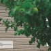 Сайдинг Ю-Пласт TIMBERBLOCK Пихта (Тимберблок) Cахалинская купить в Туле